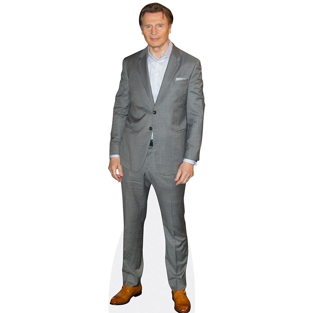 Celebrity Cutouts Mini Size Cutout Liam Neeson (Grey Suit)