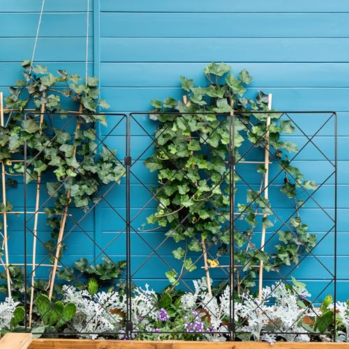 Support pour plantes grimpantes fer cadre fixe pliable de jardin BESTonZON