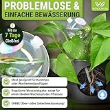 Bewässerungskugel Test