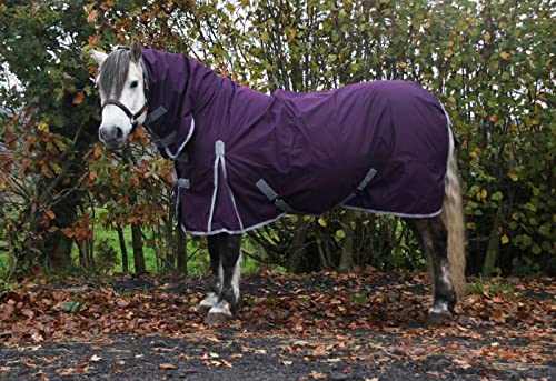 Autumnn Equestrian Horse Turnout Rug 6'6'' Plum