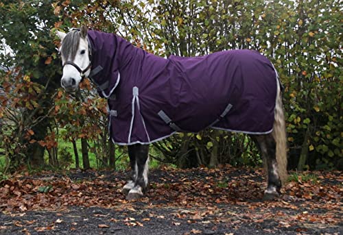 AUTUMNN EQUESTRIAN Horse Rug No Fill Turnout Horse Rugs Horse Turnout Rug No Fill 600d Lightweight Turnout Rug For Horses 0g Rain Sheet Turnout Rug With Neck Premium Horse Blanket (6'3'', PLUM)