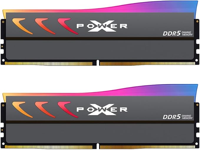 Silicon Power DDR5 64GB (2x32GB) Storm RGB 6000MT/s (PC5-48000) 288ピン CL38 1.35V UDIMM デスクトップメモリモジュール RAM SP064GXLWU60BFDK グレー