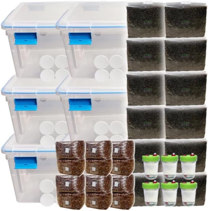 All-in-One Monotub Grow Kit with 36 lb Sterile Grain & 60 lb CVG Substrate | Indoor Grow Tub with Gasket Lid, Filter Patches & Self-Sealing Ports | For Gourmet & Functional Fungi | 6 Large Tubs