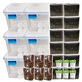 All-in-One Monotub Grow Kit with 36 lb Sterile Grain & 60 lb CVG Substrate | Indoor Grow Tub with Gasket Lid, Filter Patches & Self-Sealing Ports | For Gourmet & Functional Fungi | 6 Large Tubs