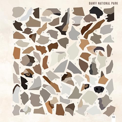 National Parks of North America Amazing Animals Sticker Painting Book: 12 Super Fun Paintings (Design Originals) Bison, Bear, Humpback Whale, Moose, Puffin, and More, with Up to 80 Stickers per Design - Image 6