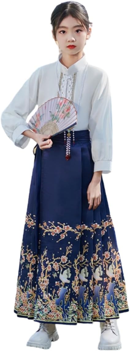 Chinese Hanfu Dress for Girls, Horse Face Skirt Chinese Classical Style Long Sleeve Ancient Costume