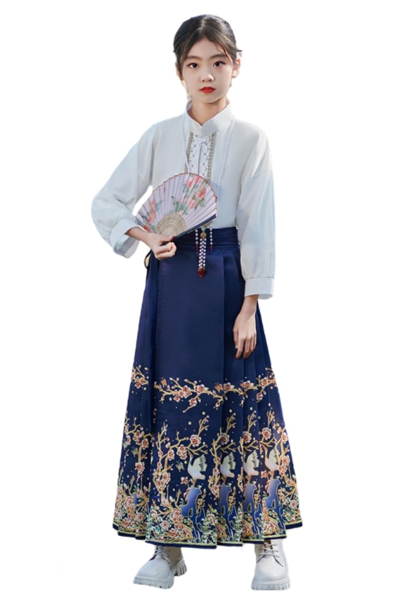 Chinese Hanfu Dress for Girls, Horse Face Skirt Chinese Classical Style Long Sleeve Ancient Costume