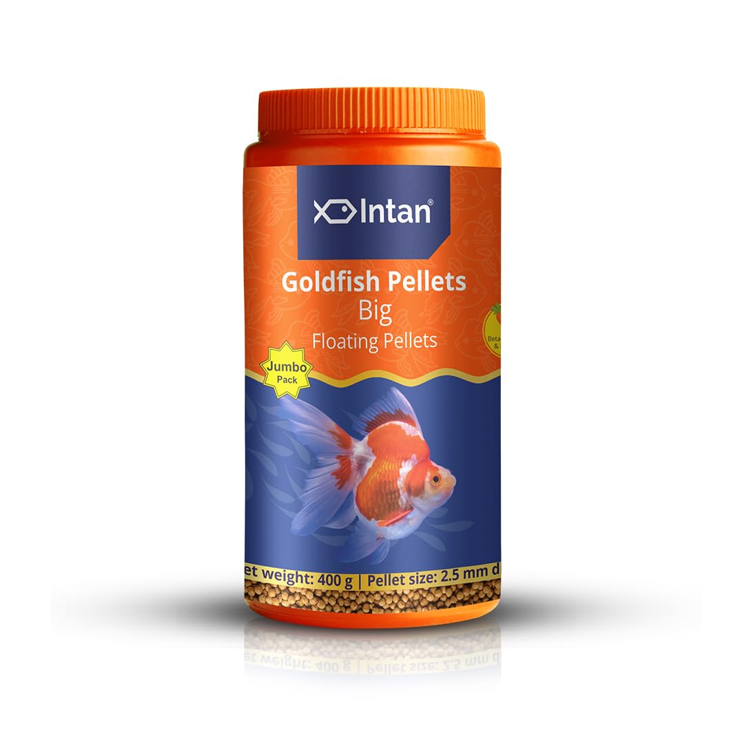 Growel Intan Goldfish Pellets (Big 2.5mm Floating) | 400gm - Highly Nutritious Ornamental Fish Food for All Goldfish - Ryukin, Red Cap, Ranchu & Lionhead (B0CVB7XFSK) Amazon Price History, Amazon Price Tracker