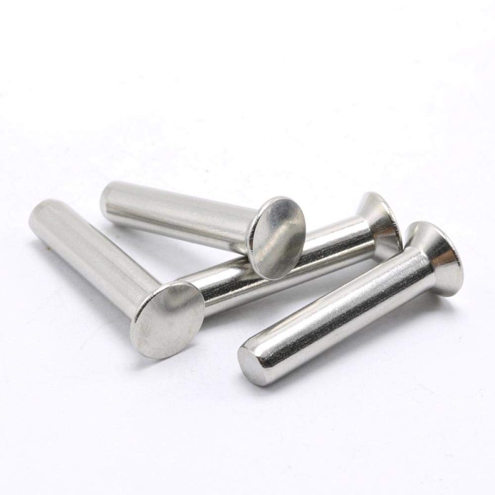 M2M2.5M3 rivetti semitubolari a testa tonda piatta in acciaio inossidabile 304, rivetti a testa tonda, rivetti semitubolari-M3 * 40 (100 pezzi M2M2.5M3 rivetti semitubolari a testa tonda piatta in acciaio inossidabile 304, rivetti a testa tonda, rivetti semitubolari-M3 * 40 (100 pezzi