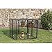 PetSafe Cottageview Boxed Kennel, 5-Foot-by-5-Foot-by- 4-Foot