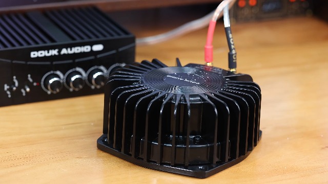 Amazon.com: Douk Audio BS-1 Bass Shaker: 50W High Power Tactile