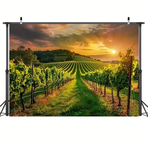 1Pc Viñedo Fondo Fotografía País Viñedo Puesta de Sol Paisaje Bodega Fondo Granja Cosecha de UVA Fiesta de Vino