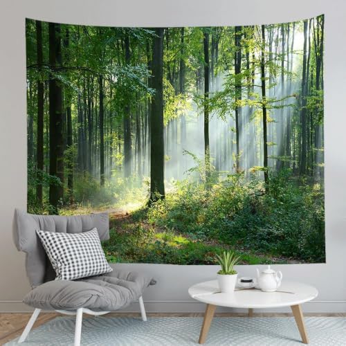 Tenture murale forêt paysage d'été 300x220 cm en tissu grand format poster B-7607