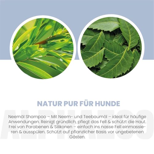 alphazoo Neemöl Hundeshampoo 250 ml – Milde Fellpflege mit Neem- & Teebaumöl – Für empfindliche Hundehaut & glänzendes Fell – Vegan & Ohne Silikone