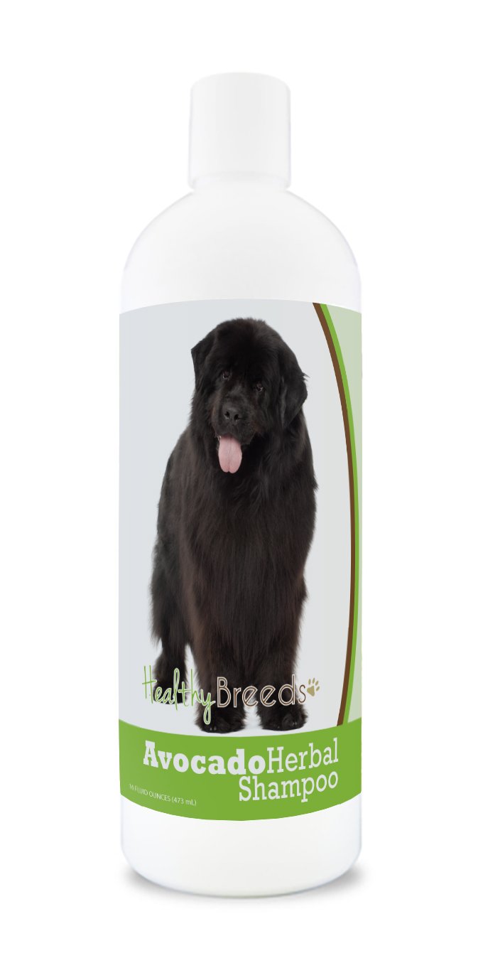 Healthy Breeds Labrador Retriever Avocado Herbal Dog Shampoo 16 oz — view 9