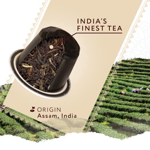 Image of Coffeeza Assam Tea Capsules - Authentic Assam Black Tea, Rich & Malty | Compatible with Nespresso Original line Coffe pod Machines | Pack of 1 (10 Capsules)
