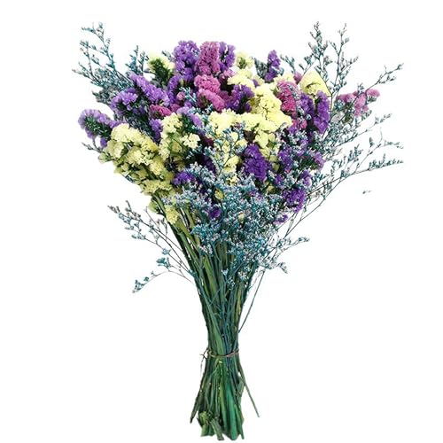 Arreglo de Flores Secas Natural para Decoración miniatura 1