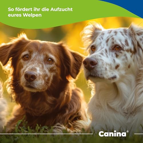 Canina Welpenbrei, 600 g