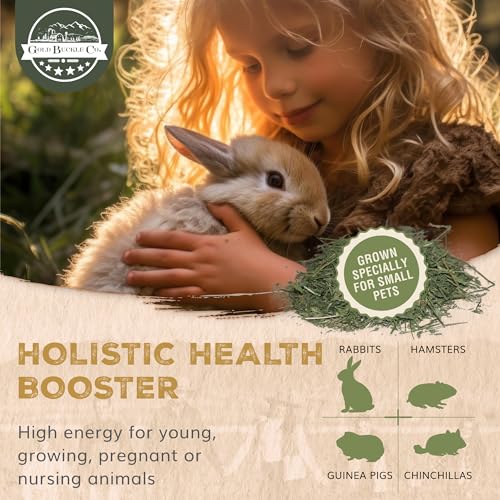 Dried Organic Alfalfa Hay for Guinea Pigs, Rabbits, Chinchillas, Goats, Hamsters & Ferrets, Small Animal Food Rich in Protein & Fiber, Hand-Selected, Hand Sorted (10lb) - Image 4