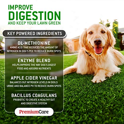 PREMIUM CARE Grass Burn Spot Chews for Dogs - Made in USA - Dog Pee Lawn Spot Saver Treatment Caused by Dog Urine - Cranberry, Apple Cider Vinegar, DL-Methionine Grass Saver Treatment for Dogs Rocks