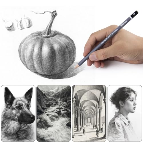 HNIHUY Professional Sketch Pencils Set, 17 Pcs, Graphite Pencils (8B-4H), Erasers and Sharpener, Art Drawing Pencil for Artists Beginner Sketching - Image 6