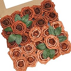 Shades of Terracotta