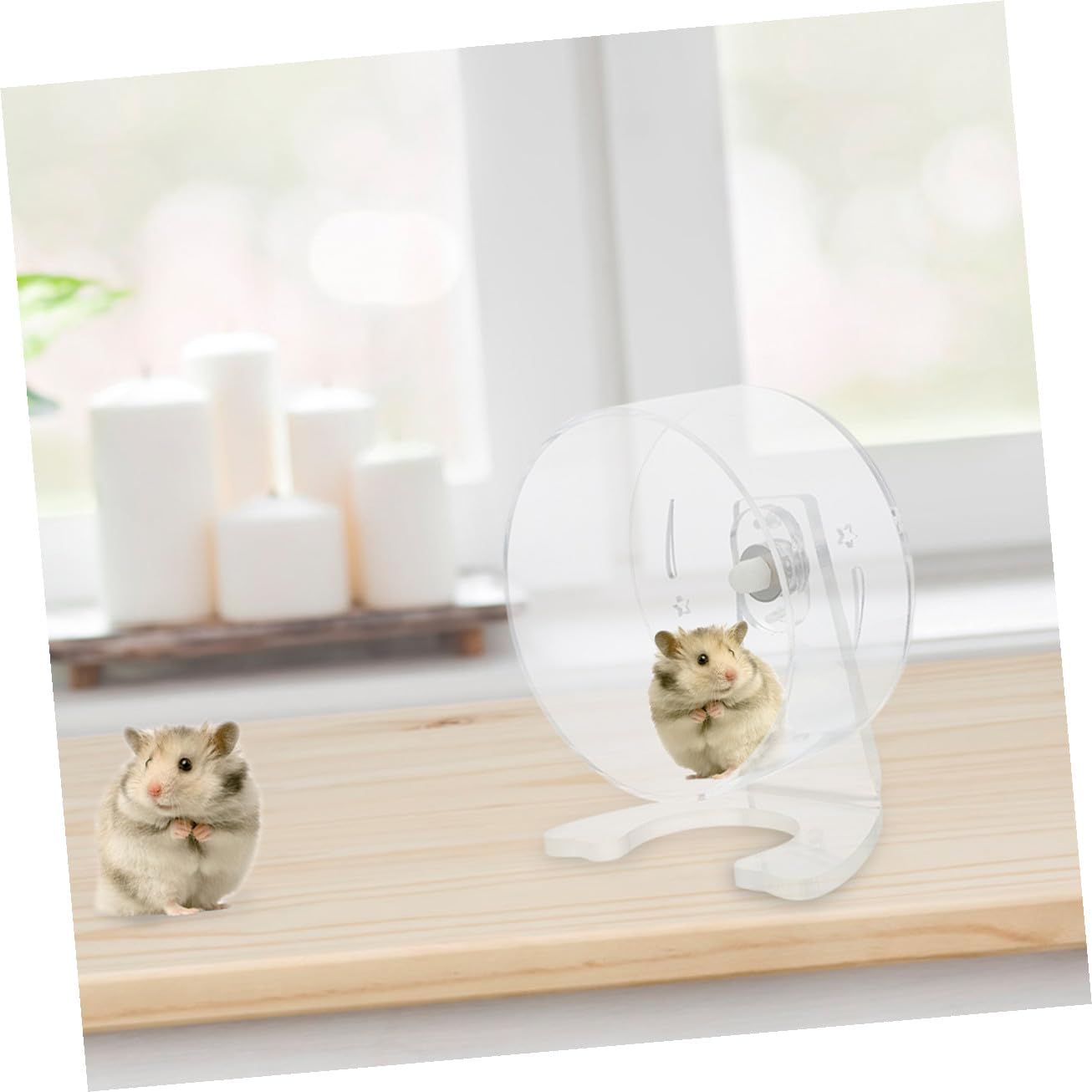 Clear Silent Running Wheel for Small Pets with Stand Transparent Hamster Exercise for Gerbils Chinchillas Cage Compatible Quiet Night Use