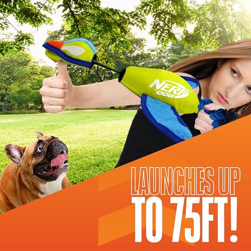 Nerf Dog Launching Duck with Crinkle Wings, 16.5 Inch Ultraplush Interactive Toy for Dogs, Green/Light Blue