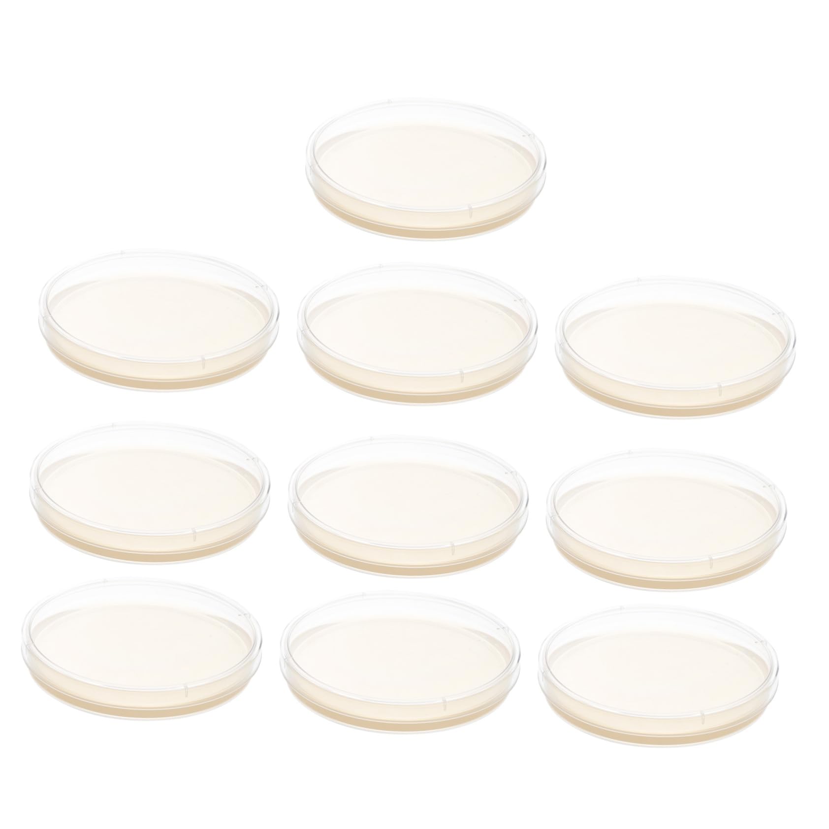 Garneck Science Agar Plates Pre-Poured Petri Dishes Agar Plates Mycology Easy to Use