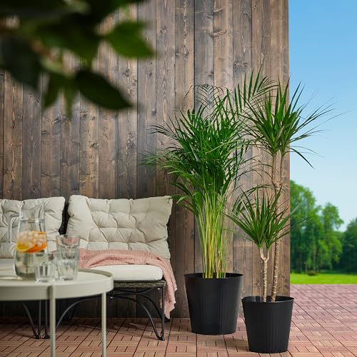 Pot de fleurs intérieur extérieur anthracite ProTuning CITRONMELISS 24cm - 4