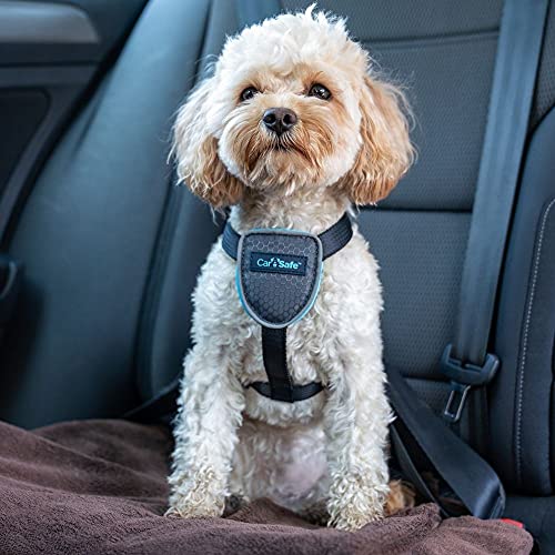 CarSafe Hunde Reisegeschirr, sicher & gesetzeskonform mit dem Hund unterwegs, erfüllt die Straßenverkehrsordnung, Tiere im Auto zu sicheren, für sehr kleine Hunde geeignet (Größe XS)