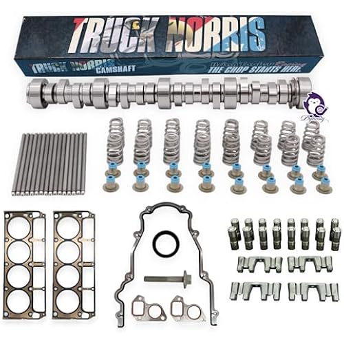 Dynosty BTR TRUCK NORRIS Cam Kit with Pushrods Delphi Lifters, Trays, Head Gaskets LS 4.8 5.3
