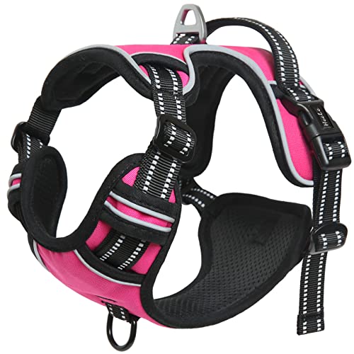 HEELE Dog Harness Dog Harness Small Dog No Pull Harness with Soft Handle Reflective Puppy Harness Adjustable, Rose, S - Image 2