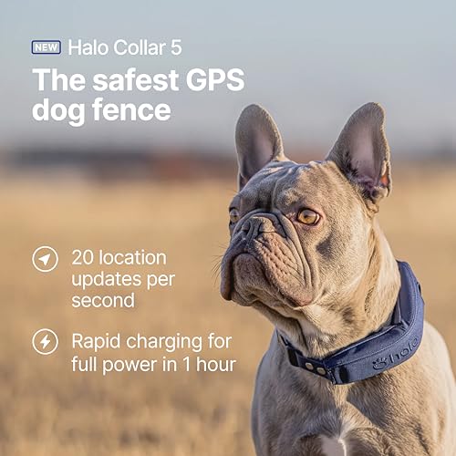 Halo Collar 5 Wireless Dog Fence & GPS Dog Collar, Keep Your Dog Safely Contained Outdoors with App-Controlled Boundaries and Real-Time Tracking, One Size, Graphite - Image 3