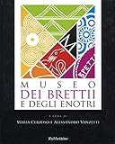  Museo dei Brettii e degli Enotri. Ediz. illustrata