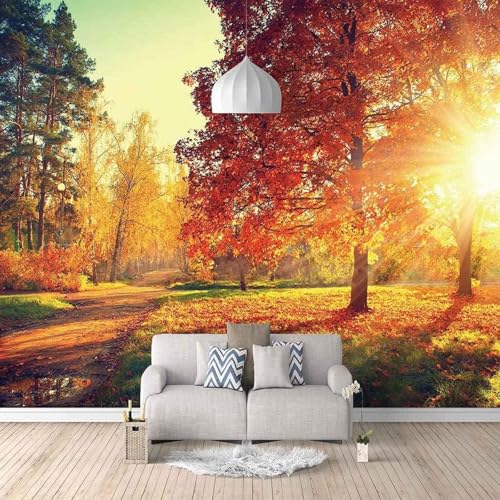 XLMING Estereoscópica Sunshine Red Woods Arte 3D Papel Pintado Pared Premium Textura Seda Estudio Comedor Vinilos Dormitorio Sofás TV Cocina-200cm×140cm