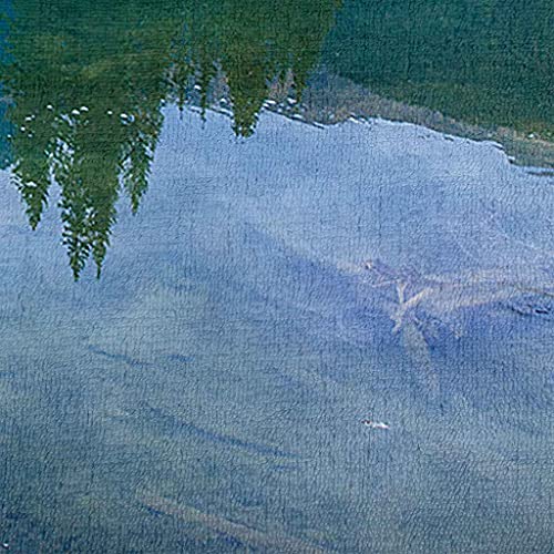Couverture Polaire en Flanelle Imprimé Lac Vert 150x200cm