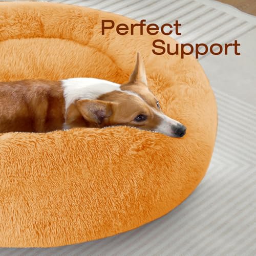 Image of JOLLYVOGUE Dog Bed, Calming Anti-Anxiety Large Dog Bed, Fluffy Donut Cushion for Medium and Large Pets (27 inch /30 inch /36 inch)