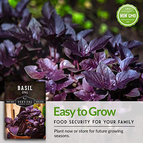 Survival Garden Seeds - Opal Basil Seed For Planting - Packet With Instructions To Plant And Grow Delicious & Unique Purple Basil Herb Plants In Your Home Vegetable Garden - Non-Gmo Heirloom Variety #TOP7