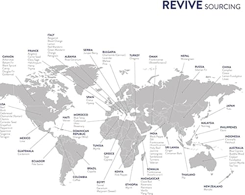 Miniatura 4 de Aceite esencial de citronela de Revive Essential Oils  100% puro grado terapéutico, para difusor, humidificador, masaje, aromaterapia, cuidado de la
