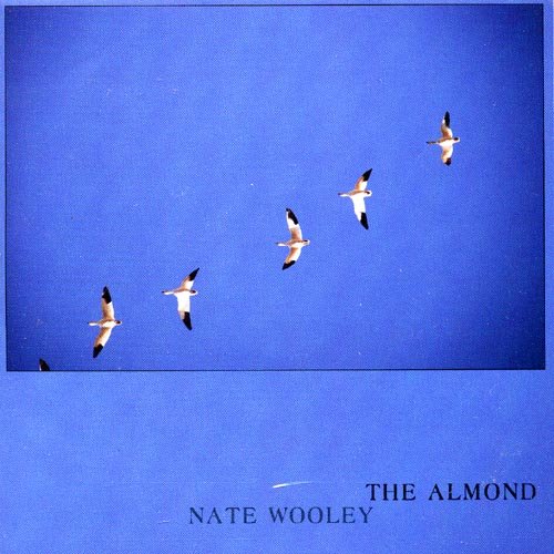 Almond [Audio CD]