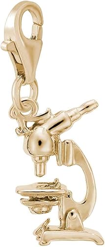 Rembrandt Charms - Abalorio para microscopio con cierre de langosta oro amarillo de 10 quilates