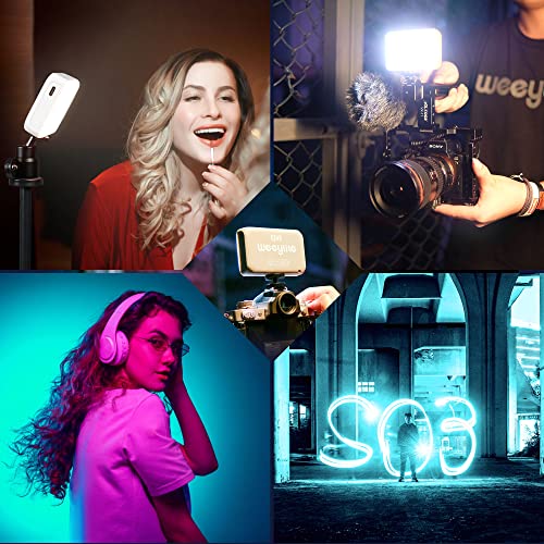 Trípode con panel de luz LED para creadores de contenido y fotografía 7