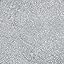 Silver Shimmer