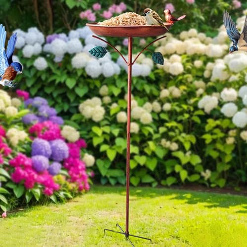 Bain d'oiseaux extérieur pour attirer et nourrir la faune - 3