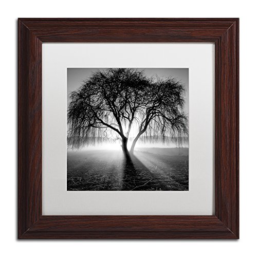 Framed Wall Art - Moises Levy 'Lightning Tree I' Wall Decor with Matted Frame by Trademark Fine Art