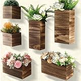 Ziliny 6 Pack Rustic Wood Wall Planters Hanging Wall Planters Pocket Vases Hanging Decor Vase for Plants Dried Flowers Faux Greenery Plants Indoor Living Room Bedroom Farmhouse Home Decor(5 Sizes)