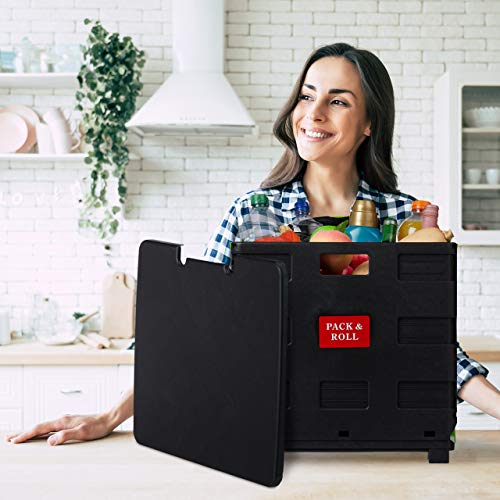 Relaxdays Einkaufstrolley klappbar, bis 35 kg, 50 l Kiste, mit Teleskopgriff, 2 Rollen, Transport...