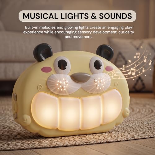 Image of Baybee 4 in 1 Baby Walker with Push Mode, Musical Lights & Sounds, Interactive Activity Panel, Smooth Rolling Wheels, Early Learning & Walking Support for 0-3 Years (Yellow)