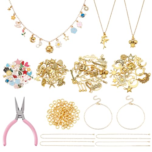 PH PandaHall Kit de Fabrication de Bracelets à Breloques chaîne en Acier Inoxydable 304 avec Pendentifs et Anneaux Ouverts Kit de Fabrication de Bijoux DIY...